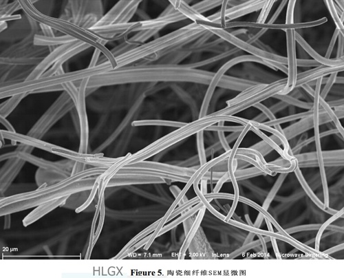 陶瓷纖維S微觀圖片